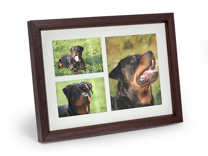 Meadow View Pet Crematorium Photo Frame Urn